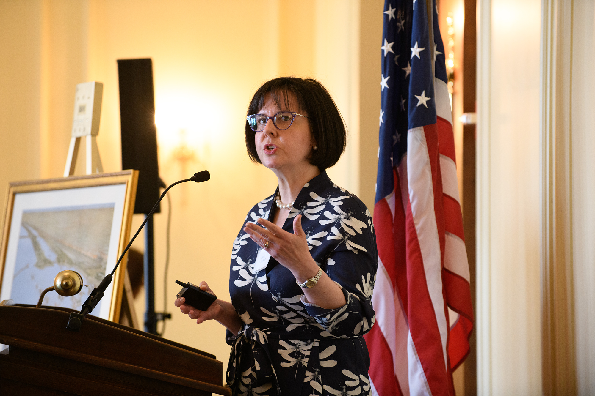A person on stage speaks into a microphone at a podium
